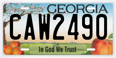 GA license plate CAW2490