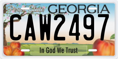 GA license plate CAW2497