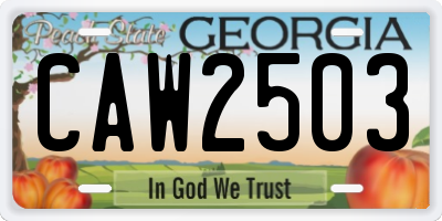 GA license plate CAW2503