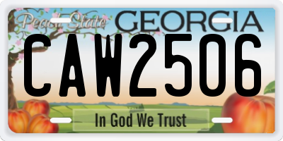 GA license plate CAW2506