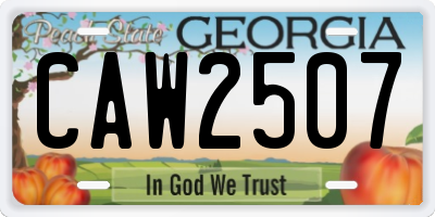 GA license plate CAW2507