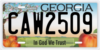 GA license plate CAW2509