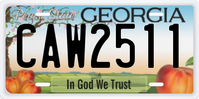 GA license plate CAW2511