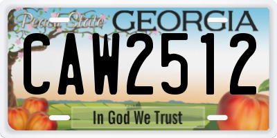 GA license plate CAW2512
