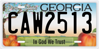 GA license plate CAW2513