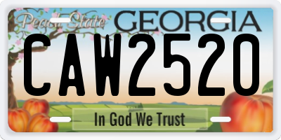 GA license plate CAW2520