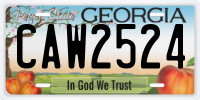 GA license plate CAW2524