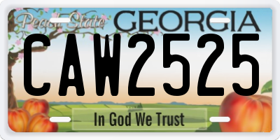 GA license plate CAW2525