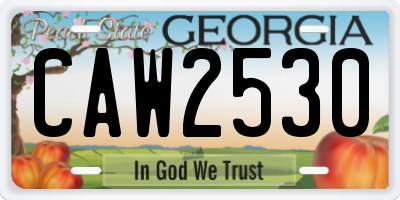 GA license plate CAW2530