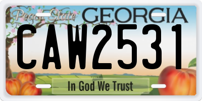 GA license plate CAW2531