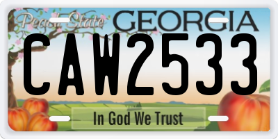 GA license plate CAW2533