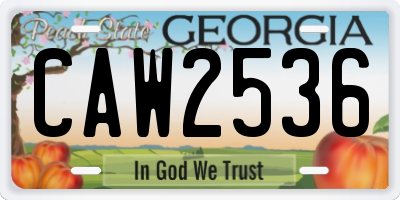 GA license plate CAW2536