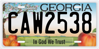 GA license plate CAW2538