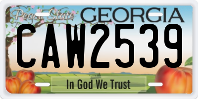 GA license plate CAW2539