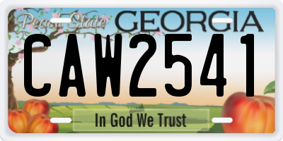 GA license plate CAW2541