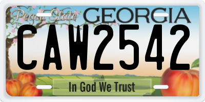 GA license plate CAW2542