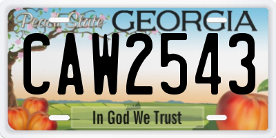 GA license plate CAW2543