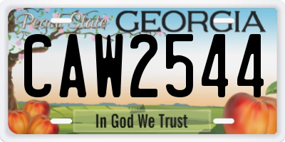 GA license plate CAW2544