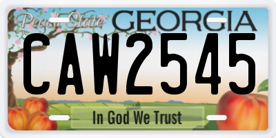 GA license plate CAW2545