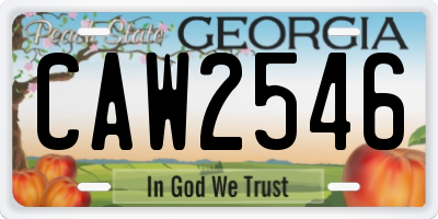 GA license plate CAW2546
