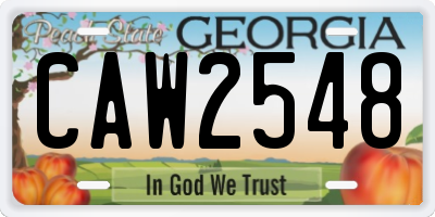 GA license plate CAW2548