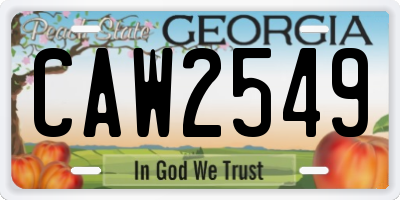GA license plate CAW2549