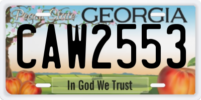 GA license plate CAW2553