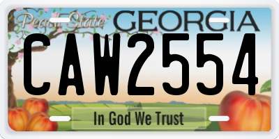 GA license plate CAW2554