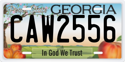 GA license plate CAW2556