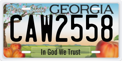 GA license plate CAW2558