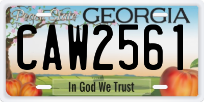 GA license plate CAW2561