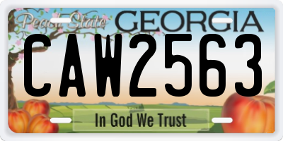 GA license plate CAW2563