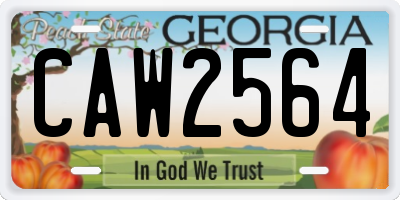 GA license plate CAW2564