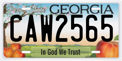 GA license plate CAW2565