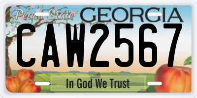 GA license plate CAW2567