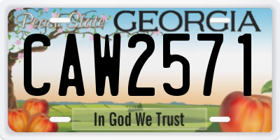 GA license plate CAW2571
