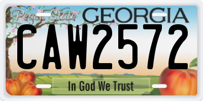 GA license plate CAW2572