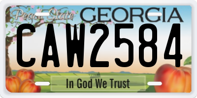 GA license plate CAW2584
