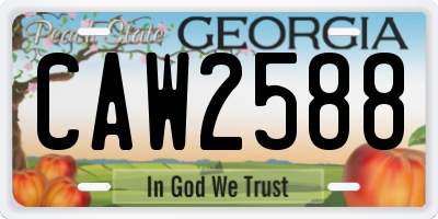 GA license plate CAW2588