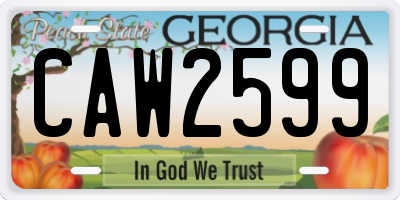 GA license plate CAW2599