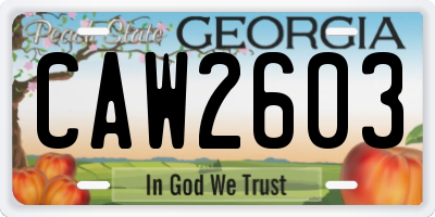 GA license plate CAW2603