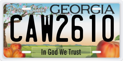 GA license plate CAW2610