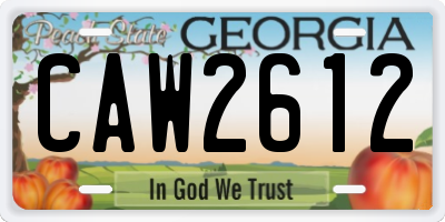GA license plate CAW2612