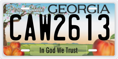 GA license plate CAW2613