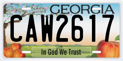 GA license plate CAW2617