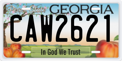 GA license plate CAW2621