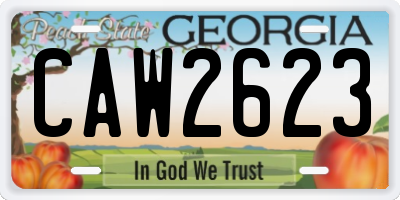 GA license plate CAW2623