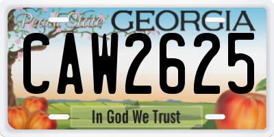 GA license plate CAW2625