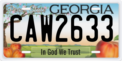 GA license plate CAW2633