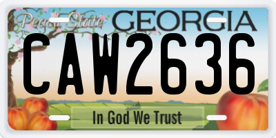 GA license plate CAW2636